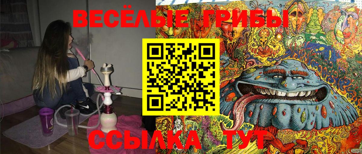Галлюциногенные грибы Magic Shrooms Похвистнево