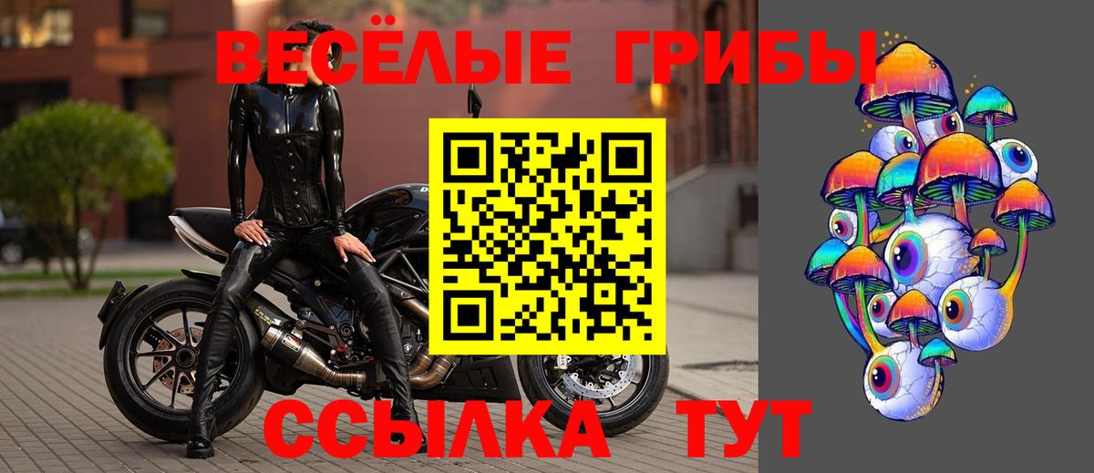 Похвистнево  Галлюциногенные грибы MAGIC MUSHROOMS  Вход с VPN 